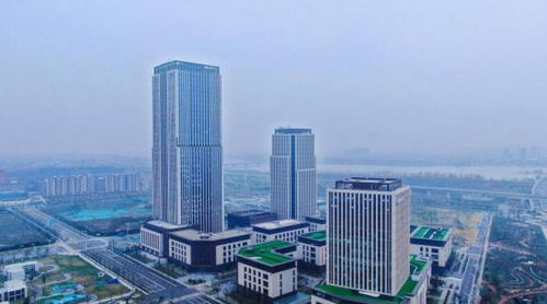 揚州生態(tài)科技新城三項目入選省重點清單，以軟件驅動“兩業(yè)融合”新篇章