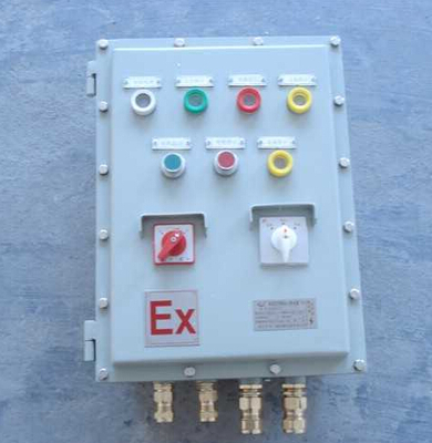 CBP54-DIP粉塵防爆動(dòng)力電磁起動(dòng)配電箱 專業(yè)廠家直銷，助力工業(yè)安全高效運(yùn)行
